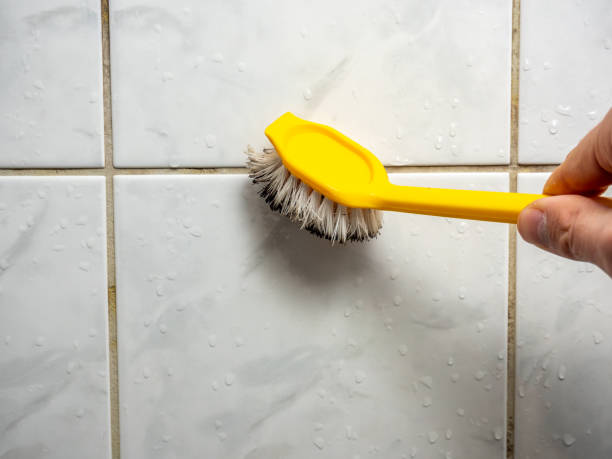 Best Mold Remediation  in Cedar Springs, MI