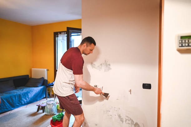 Best Same-Day Mold Removal  in Cedar Springs, MI